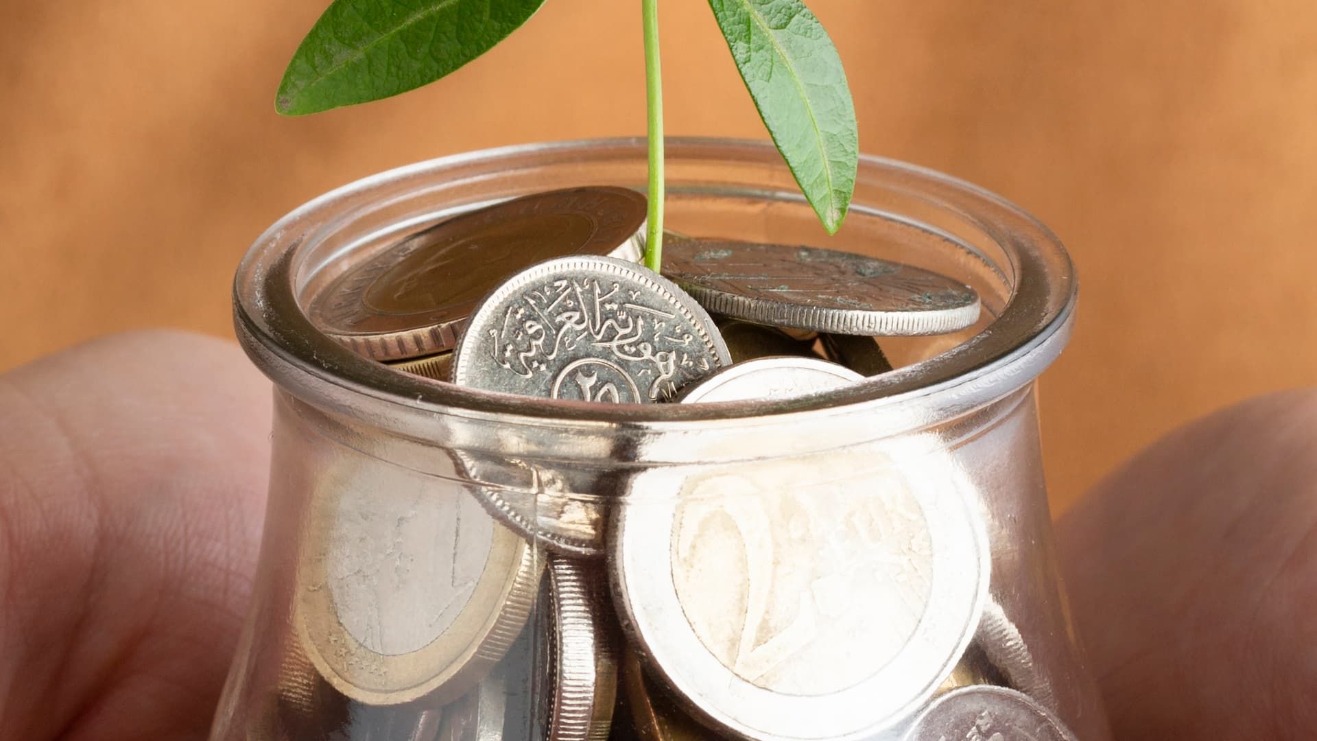 Mutual Funds Made Simple: Types of Mutual Funds and Their Benefits